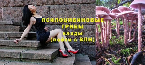 стафф Алзамай