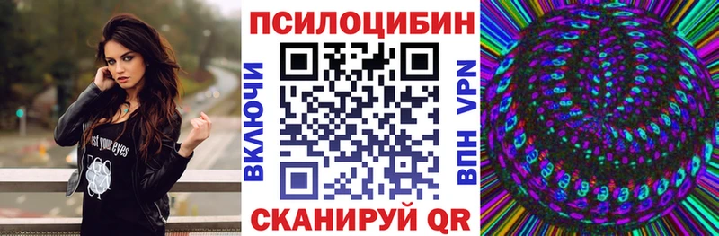 гидра зеркало  Оханск  Псилоцибиновые грибы Psilocybine cubensis 